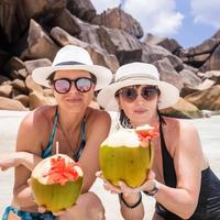 Отзыв от Елена - виза ДТВ